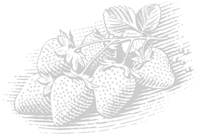Kresba jahod